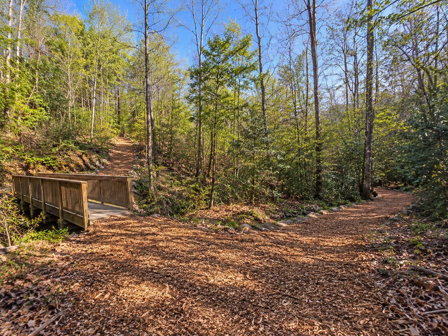 Trail through hardwoods