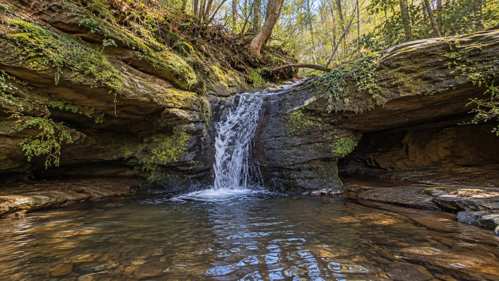 Waterfall on the property