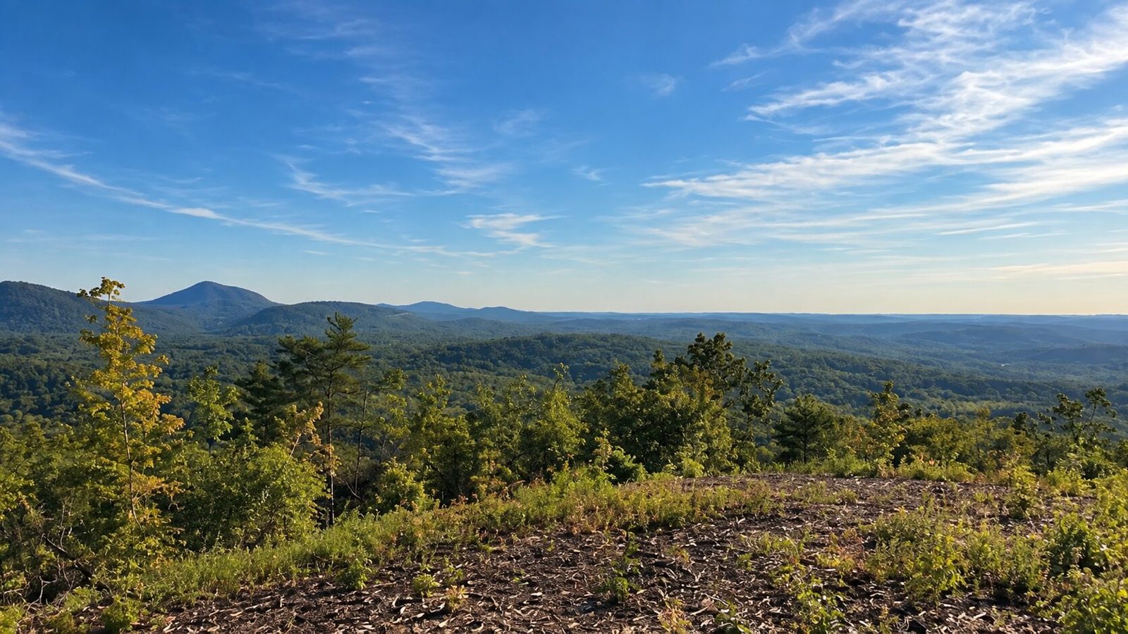 Summit panorama at sunrise