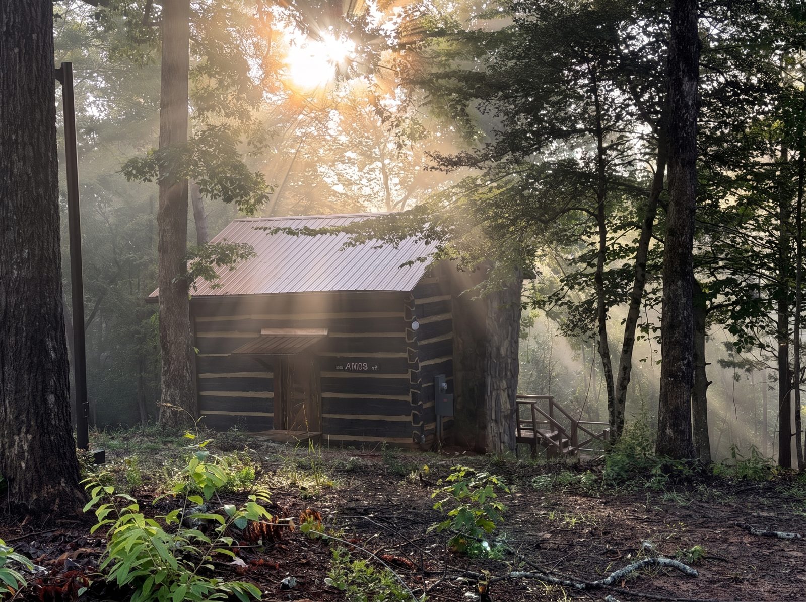 Amos — First light through the trees